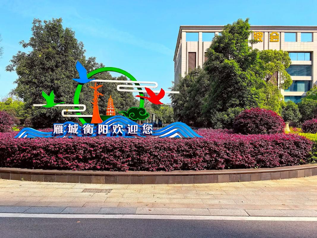 衡陽網站建設 從權威視角看數字化轉型與技能人才培養